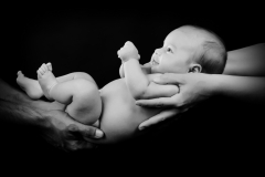 D3S_9212BW